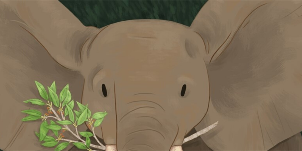 Book Art Elephant