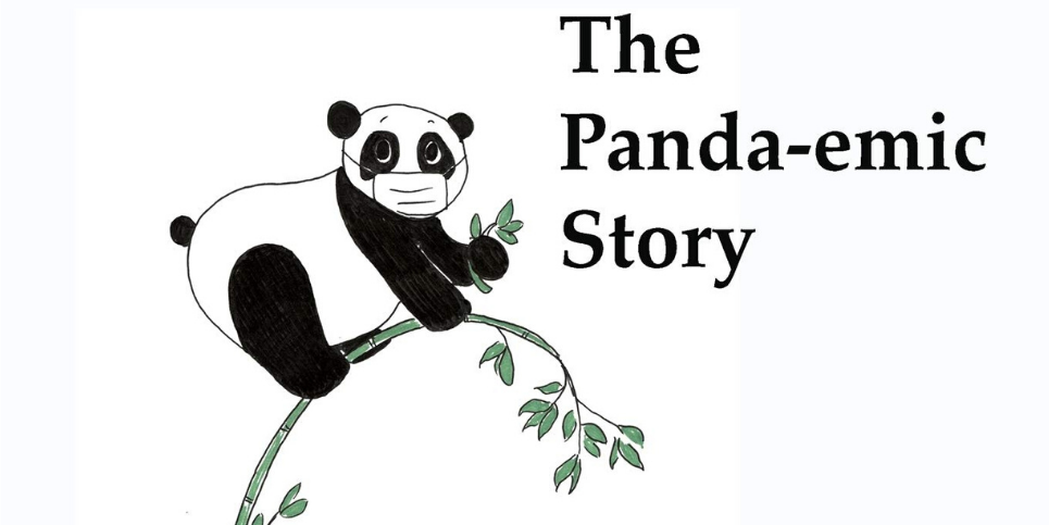 Review The Panda Story