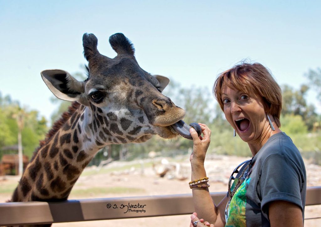 Susan Stoltz: Author Headshot