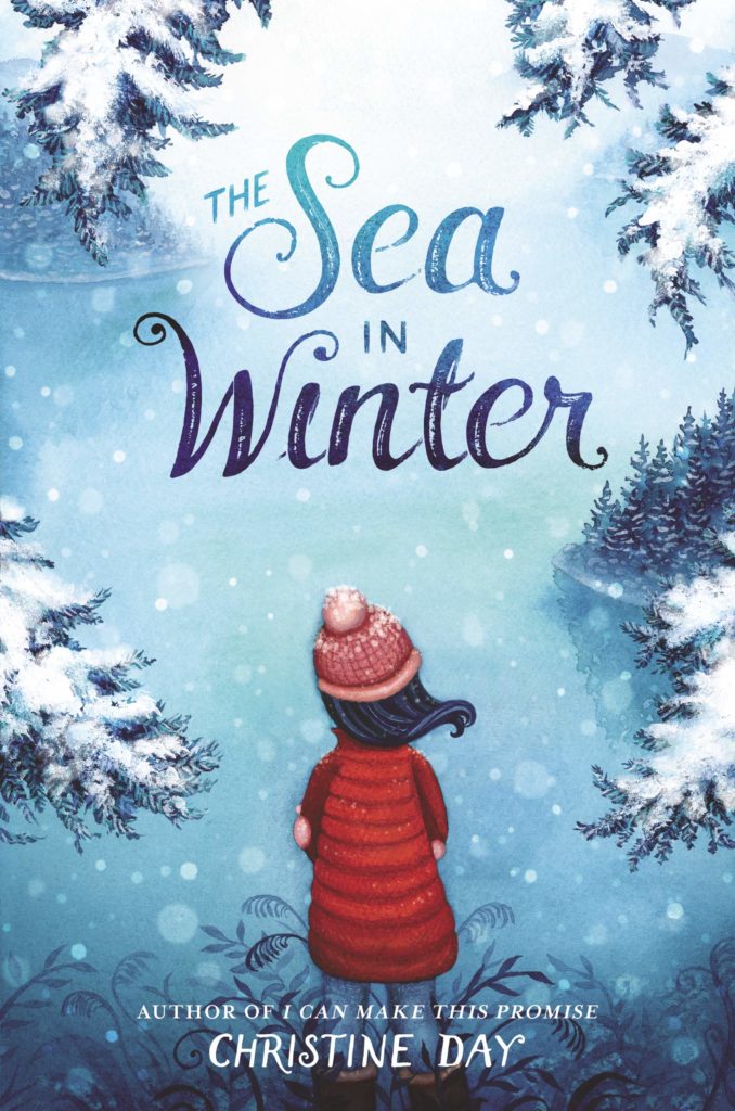 The Sea in Winter by Christine Day Book