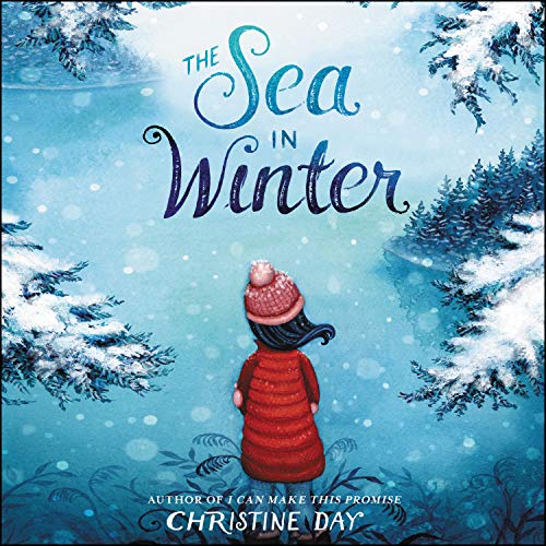 The Sea in Winter Audiobook