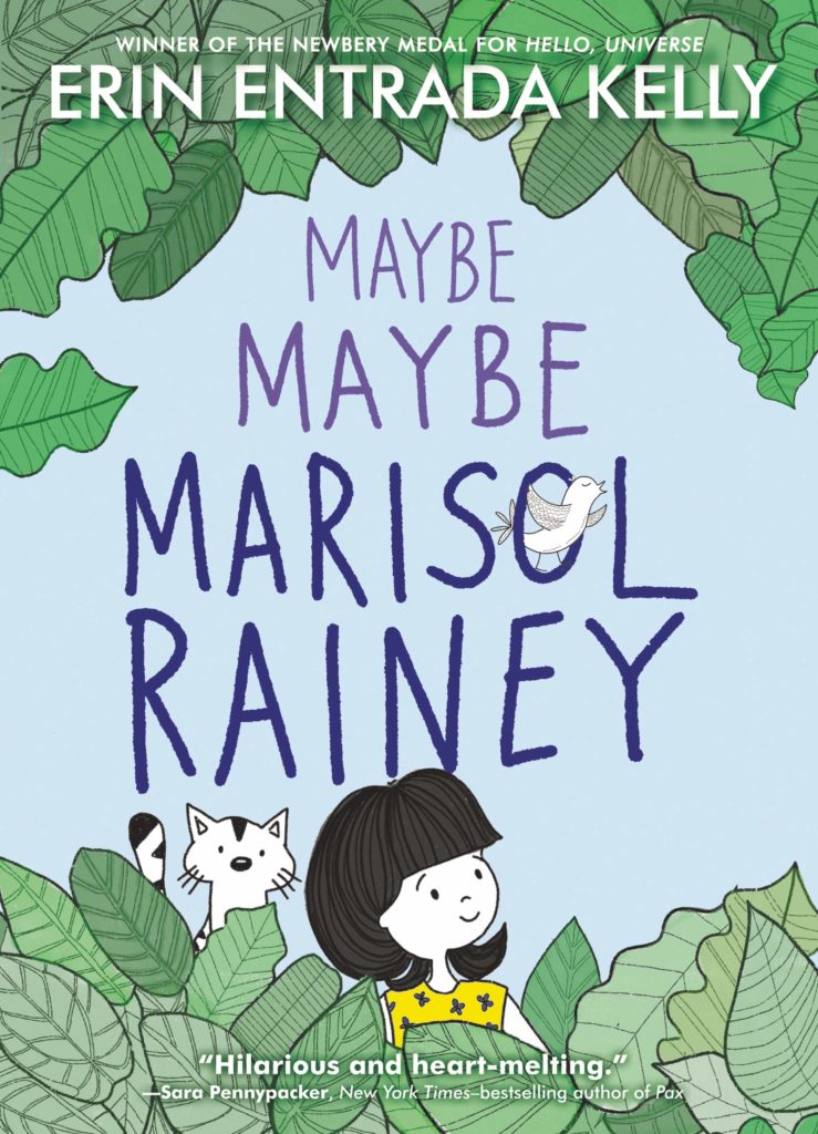 Maybe Maybe Marisol Rainey Book Cover