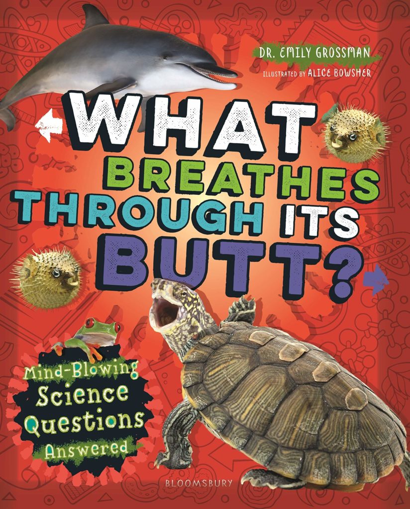 What Breathes Through Its Butt: Book Cover