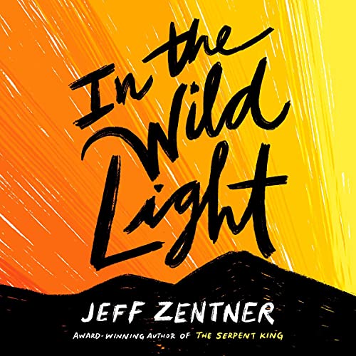 In the Wild Light Audiobook Cover