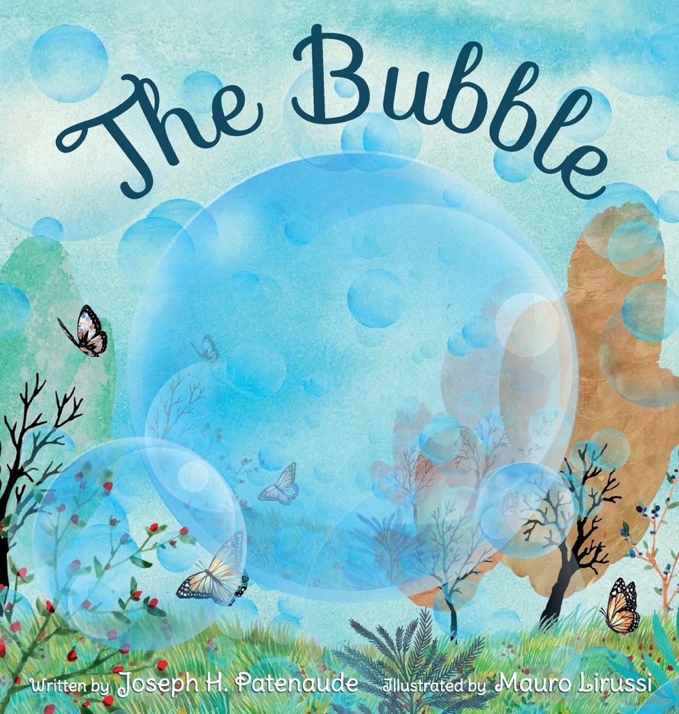 The Bubble: Book Cover