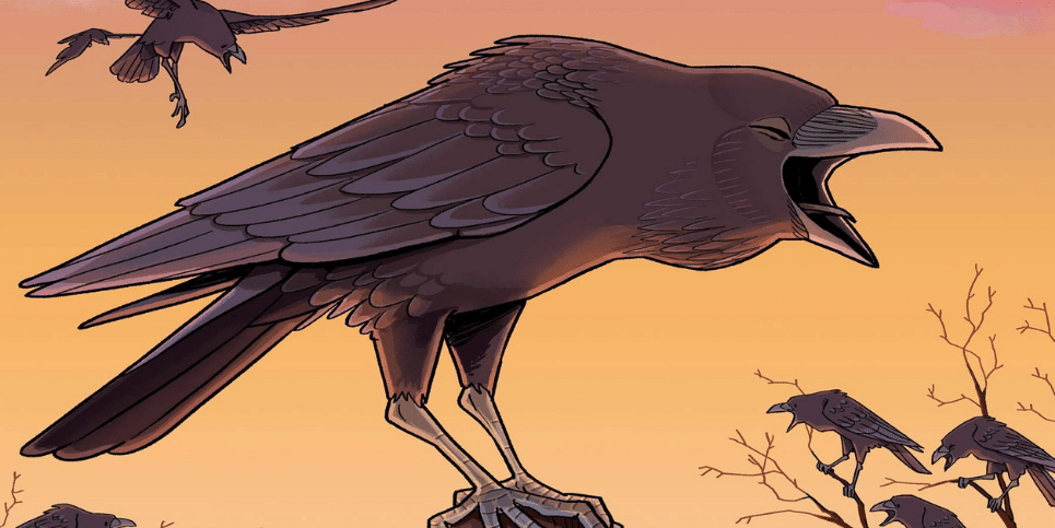 Science Comics Crows Genius Birds Book Review