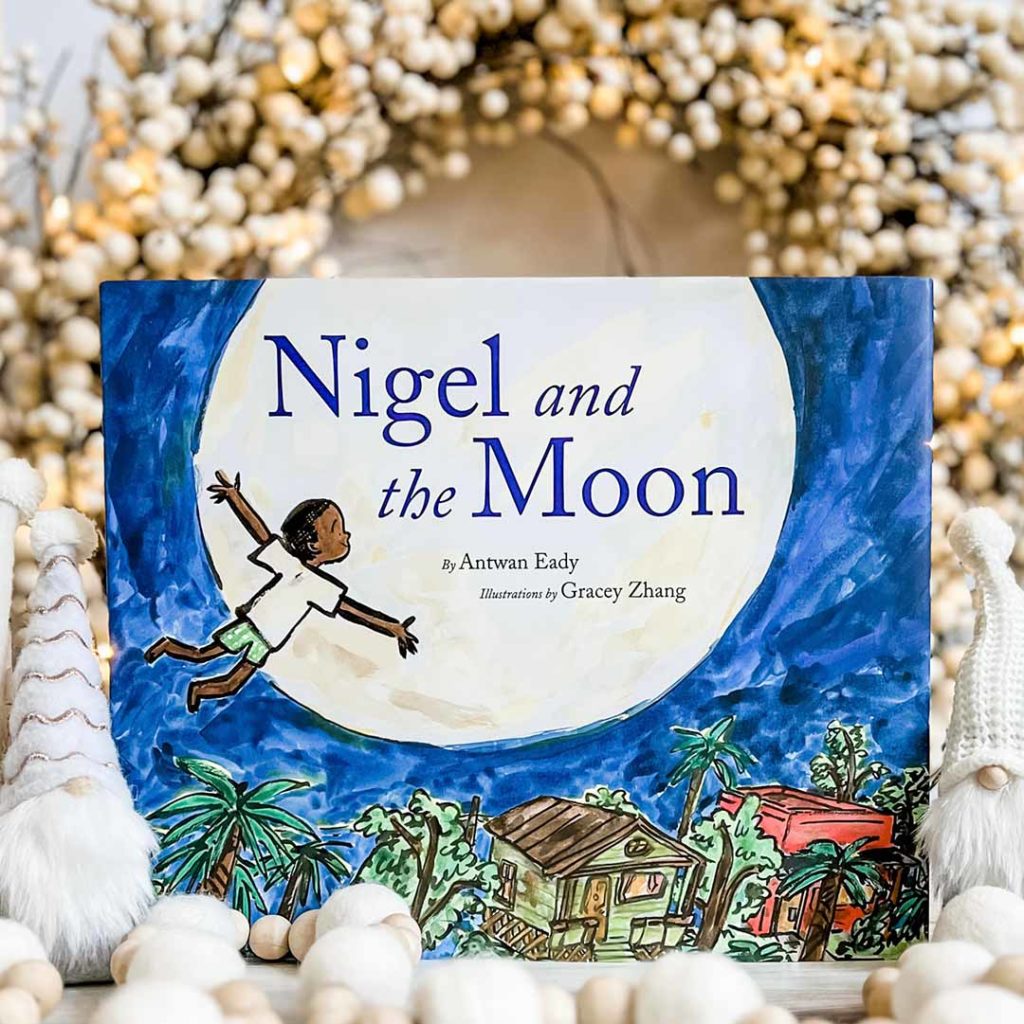 Nigel and the Moon Book Image