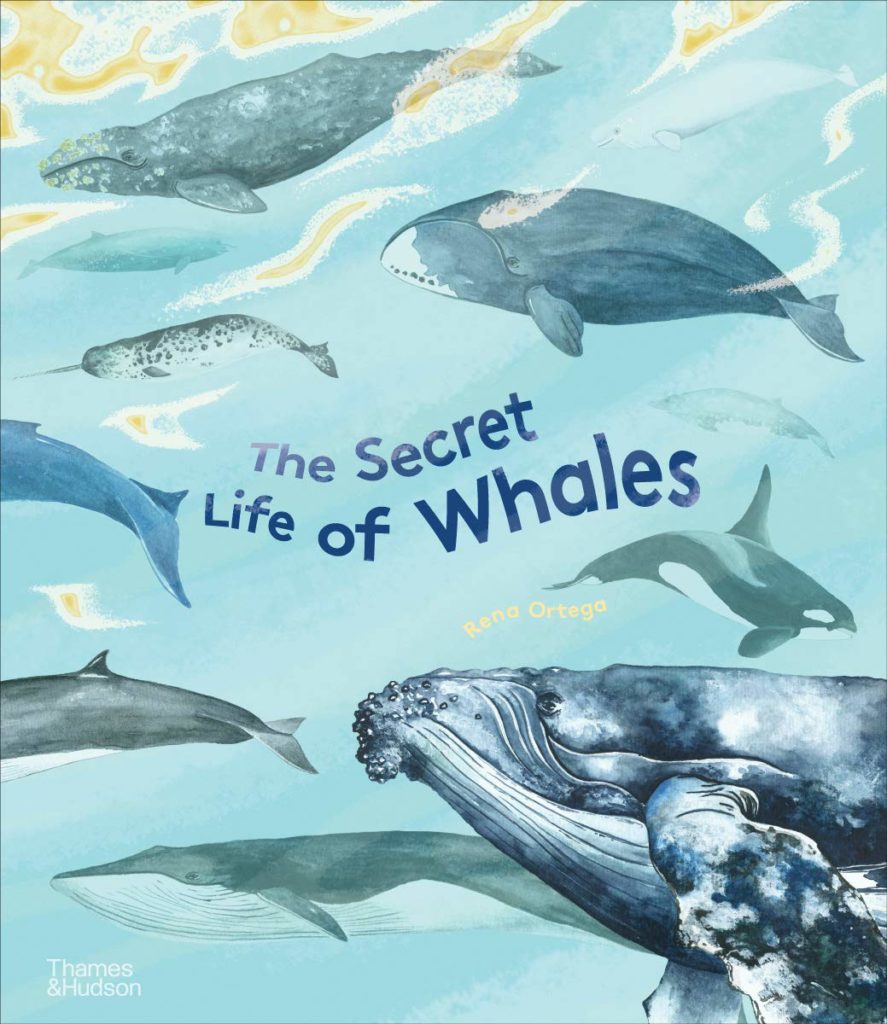 The Secret Life of Whales: Book Cover