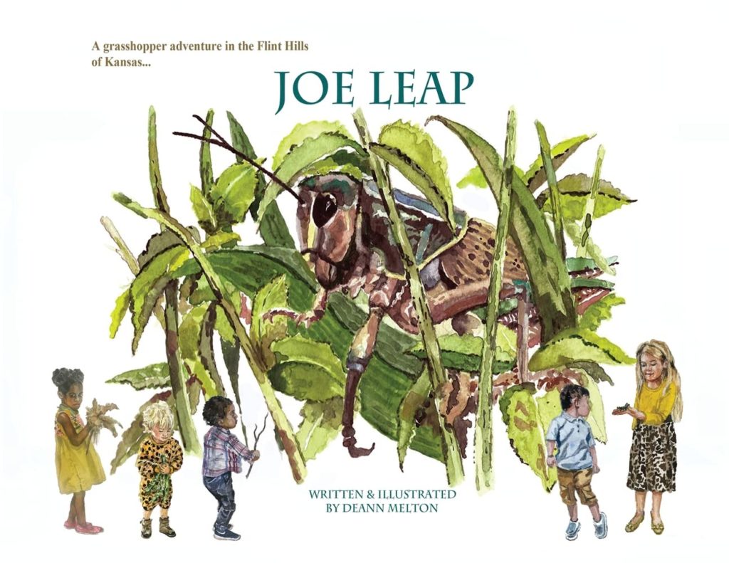 Joe Leap: Book Cover