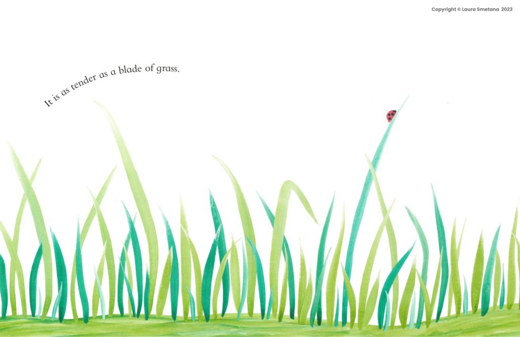 Illustration_My-Love-for-You-Is-Like-a-Garden_by-Laura-Smetana_Grass