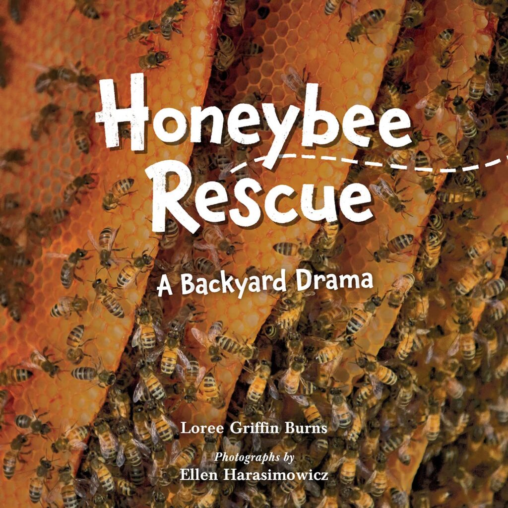 Honeybee Rescue: Book Cover