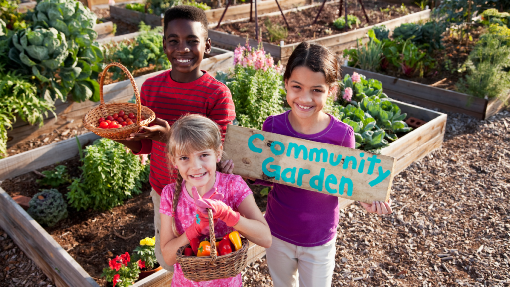 Volunteer at a Local Community Garden