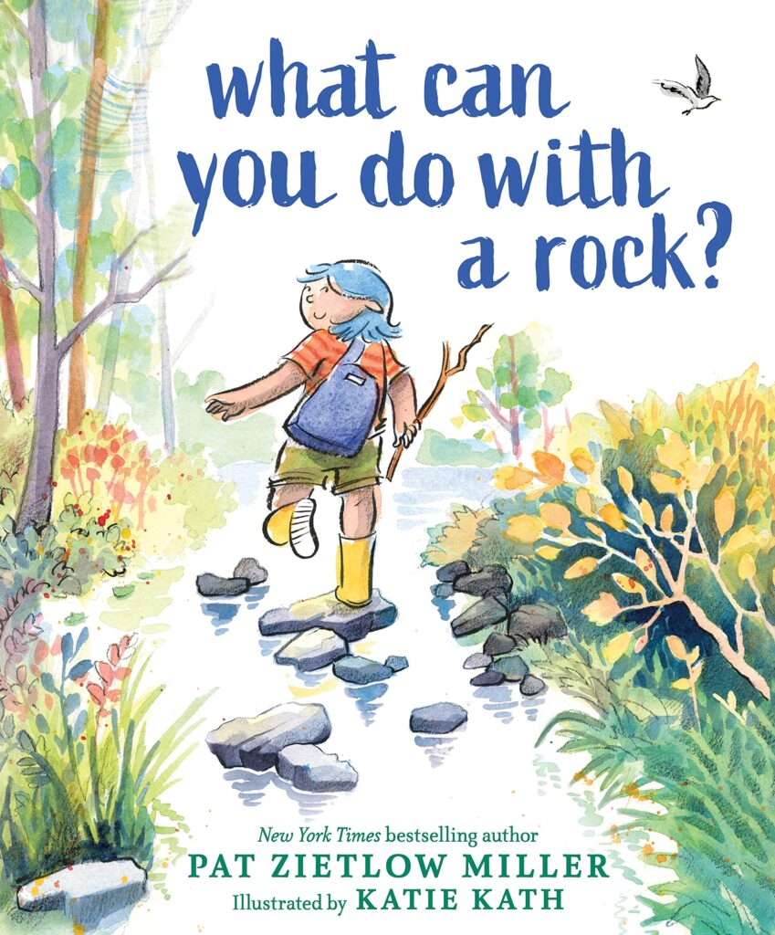 What Can You Do with a Rock?: Book Cover