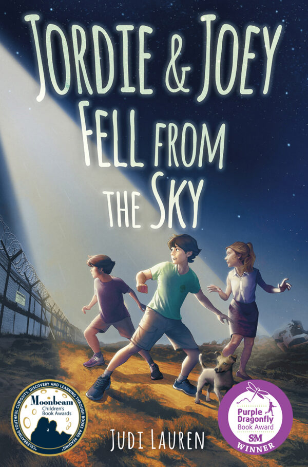 Jordie and Joey Fell from the Sky: Book Cover