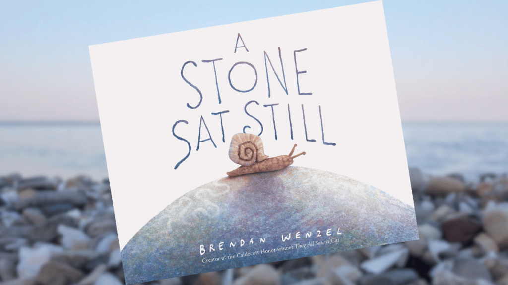 A Stone Sat Still Book Review