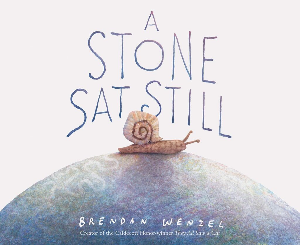 A Stone Sat Still: book cover