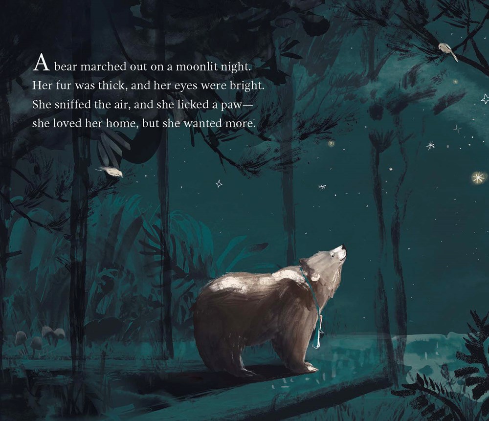 The Bear and Her Book Illustration