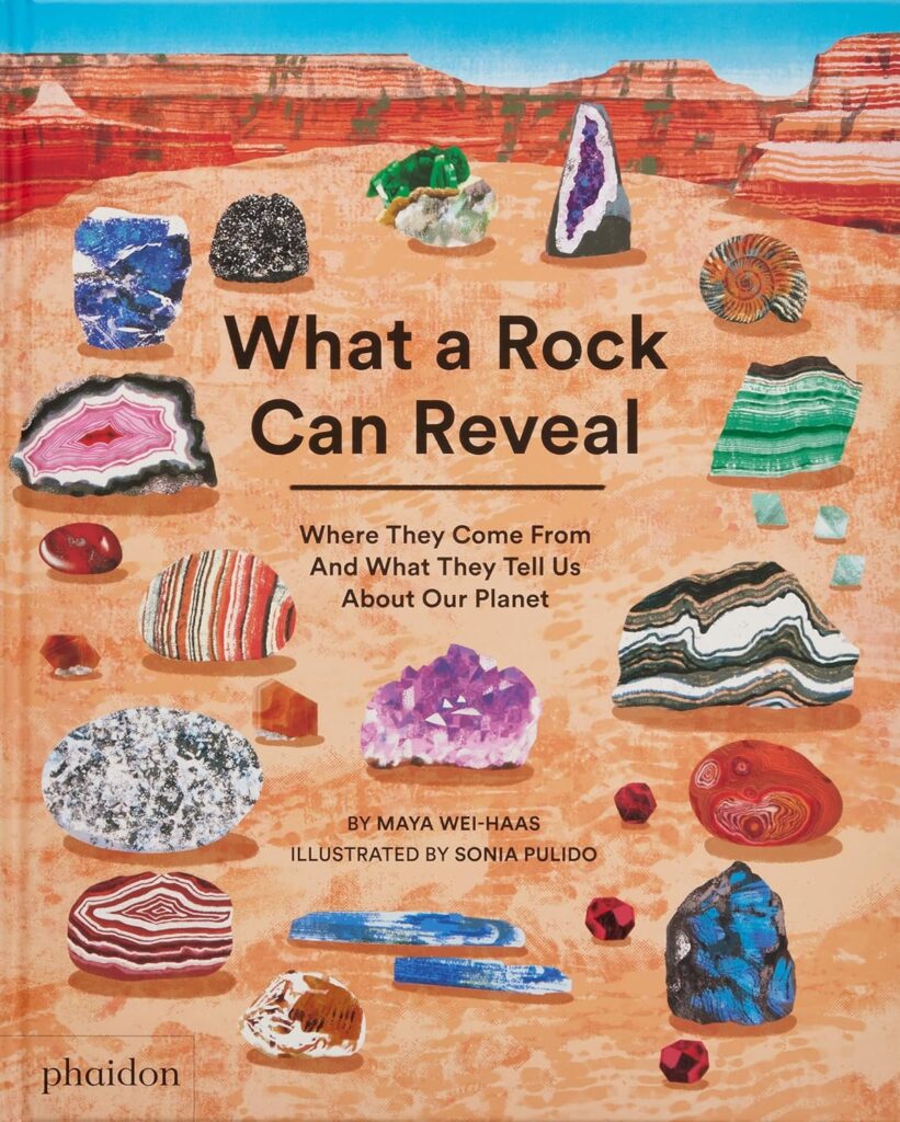 What a Rock Can Reveal- Where They Come From And What They Tell Us About Our Planet | The Children's Book Review Cover image: What a Rock Can Reveal: Where They Come From And What They Tell Us About Our Planet