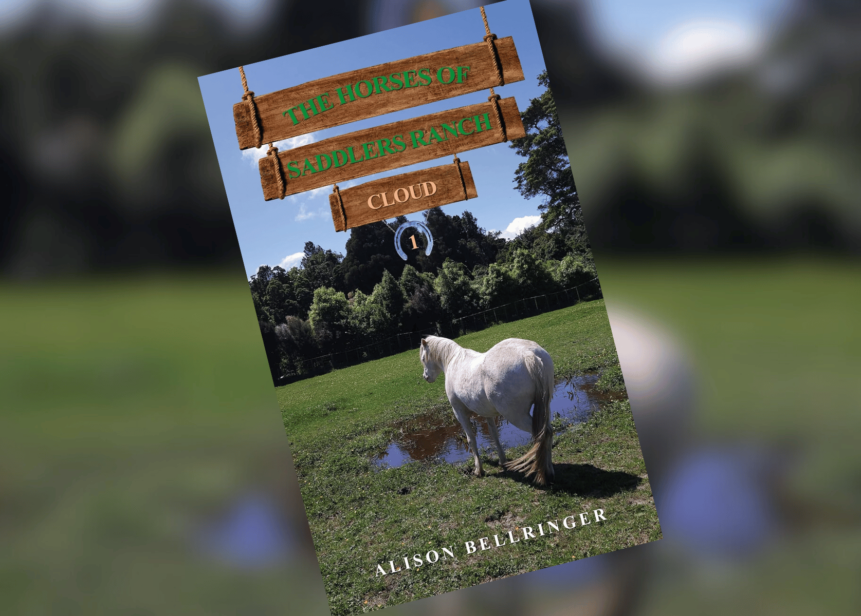 The Horses of Saddlers Ranch: Cloud