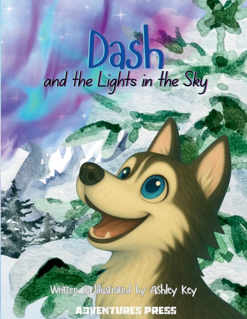 Dash and the Lights in the Sky: Book Cover