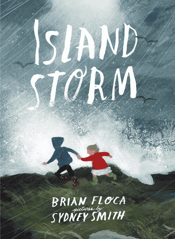 Island Storm: Book Cover