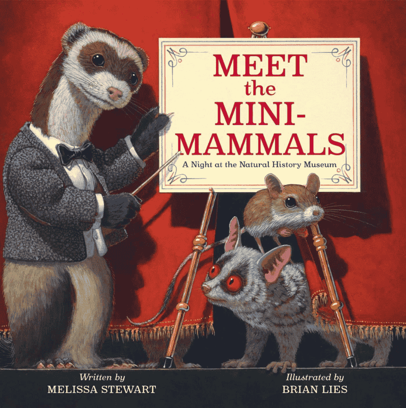 Meet the Mini-Mammals: Book Cover