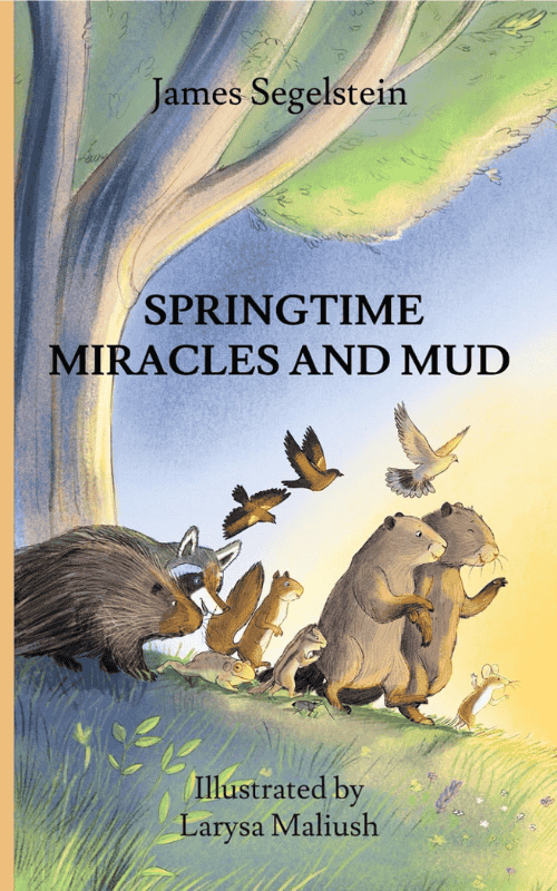 Springtime Miracles and Mud | The Children's Book Review Springtime Miracles and Mud: Book Cover