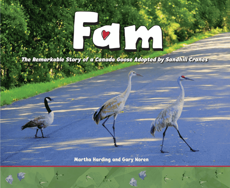 Fam: The Remarkable Story of a Canada Goose Adopted by Sandhill Cranes: Book Cover