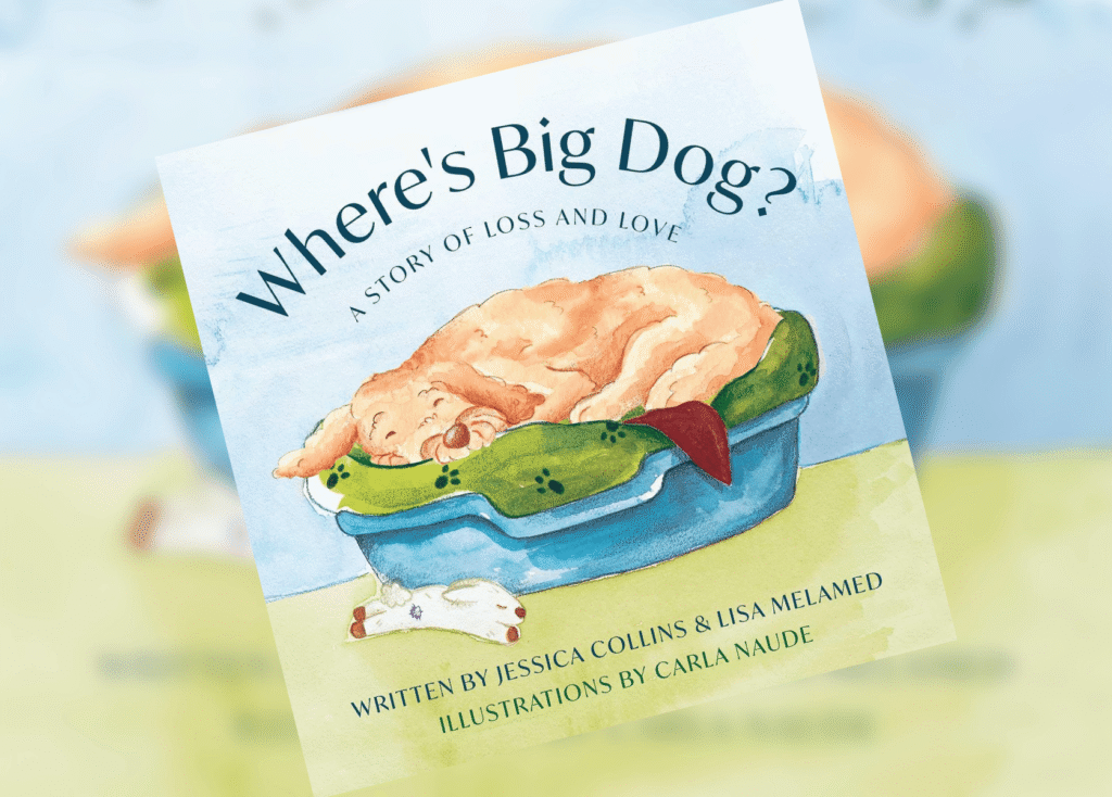 Book cover titled "Where's Big Dog?" featuring a watercolor illustration of a brain resting in a blue dog bowl with a green blanket underneath.