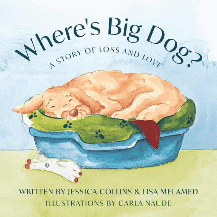 Where's Big Dog? A Story of Loss and Love: Book Cover