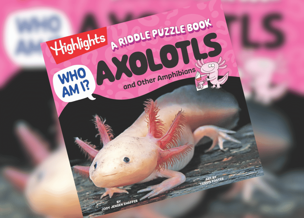 Cover of a Highlights riddle puzzle book titled 'Axolotls and Other Amphibians' with a pink background and a cartoon axolotl illustration, plus 'Who Am I?' speech bubble