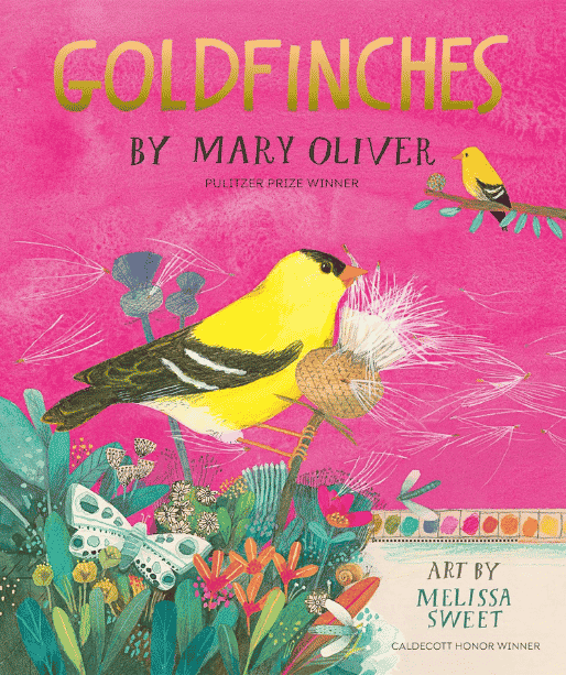 Goldfinches | The Children's Book Review Goldfinches: Book Cover