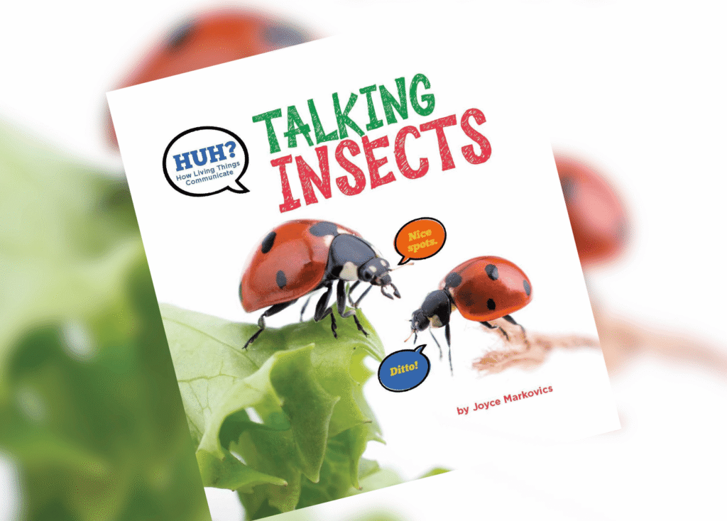 Poster reading 'Talking Insects' with two ladybugs on a leaf and speech bubbles for a kids' science lesson.