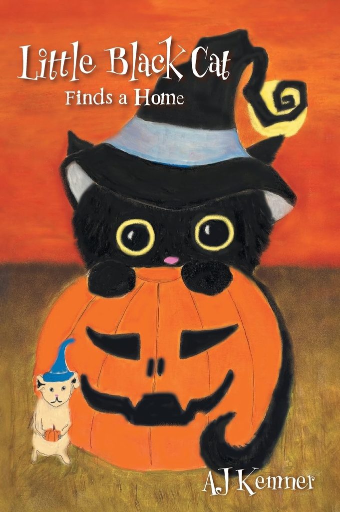 Little Black Cat Finds a Home: Book Cover
